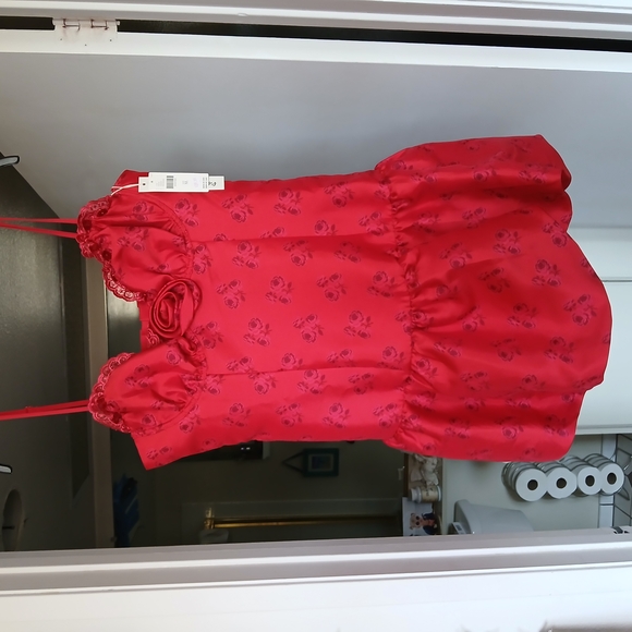 Elegant Red Lace Trimmed Nightgown - Picture 3 of 9